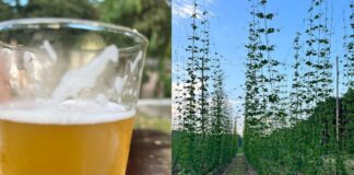 Birre curiose e food a km zero alla Festa del Podere, alle porte di Roma La località è Testa di Lepre, comune di Fiumicino - Canaledieci.it