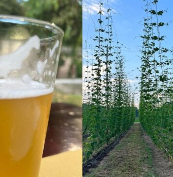 Birre curiose e food a km zero alla Festa del Podere, alle porte di Roma La località è Testa di Lepre, comune di Fiumicino - Canaledieci.it
