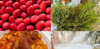 Sagre nel Lazio dal 23 al 25 maggio: eventi e programmi tra pizze fritte, fragole, carote, porchetta e tanti sapori locali