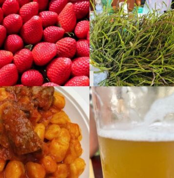 Sagre nel Lazio dal 23 al 25 maggio: eventi e programmi tra pizze fritte, fragole, carote, porchetta e tanti sapori locali