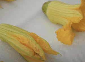 Sagre a Roma e nel Lazio dal 10 al 12 luglio: fiore di zucca, gnocchitti, gavinella, fallacciano 5