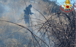 Impossibile arrivare in treno all'aeroporto di Fiumicino: centinaia di voli persi per gli incendi (VIDEO) 2 Impossibile arrivare in treno all'aeroporto di Fiumicino: centinaia di voli persi per gli incendi (VIDEO) 2