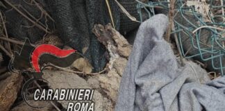 Omicidio di Fregene, Gabrielli: "Trovato il coltello che ha ucciso Stefania Camboni"