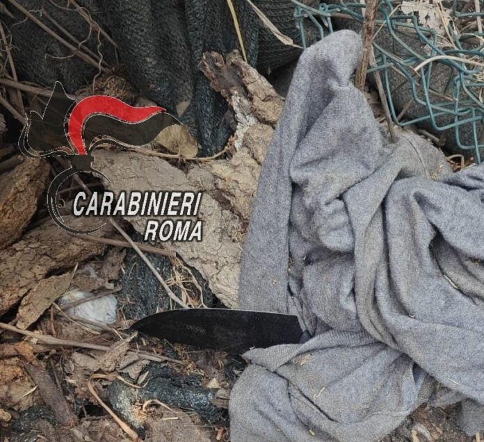 armi2 Omicidio di Fregene, Gabrielli: "Trovato il coltello che ha ucciso Stefania Camboni"