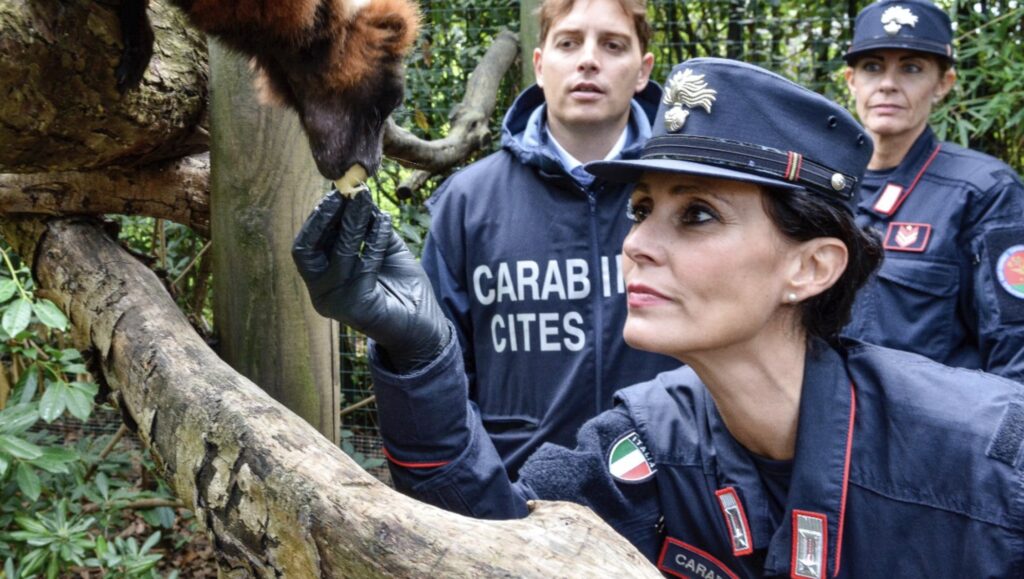 A Villa Borghese torna il Villaggio dell'Arma tra la Fanfara, Saetta e reperti recuperati: tutti gli eventi 2