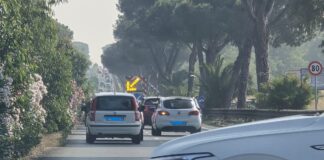 Via Cristoforo Colombo, lavori sul verde nelle ore di punta: code e rallentamenti