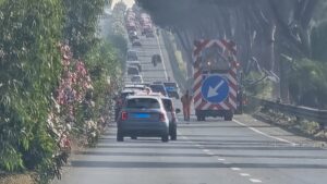 Via Cristoforo Colombo, lavori sul verde nelle ore di punta: code e rallentamenti 1