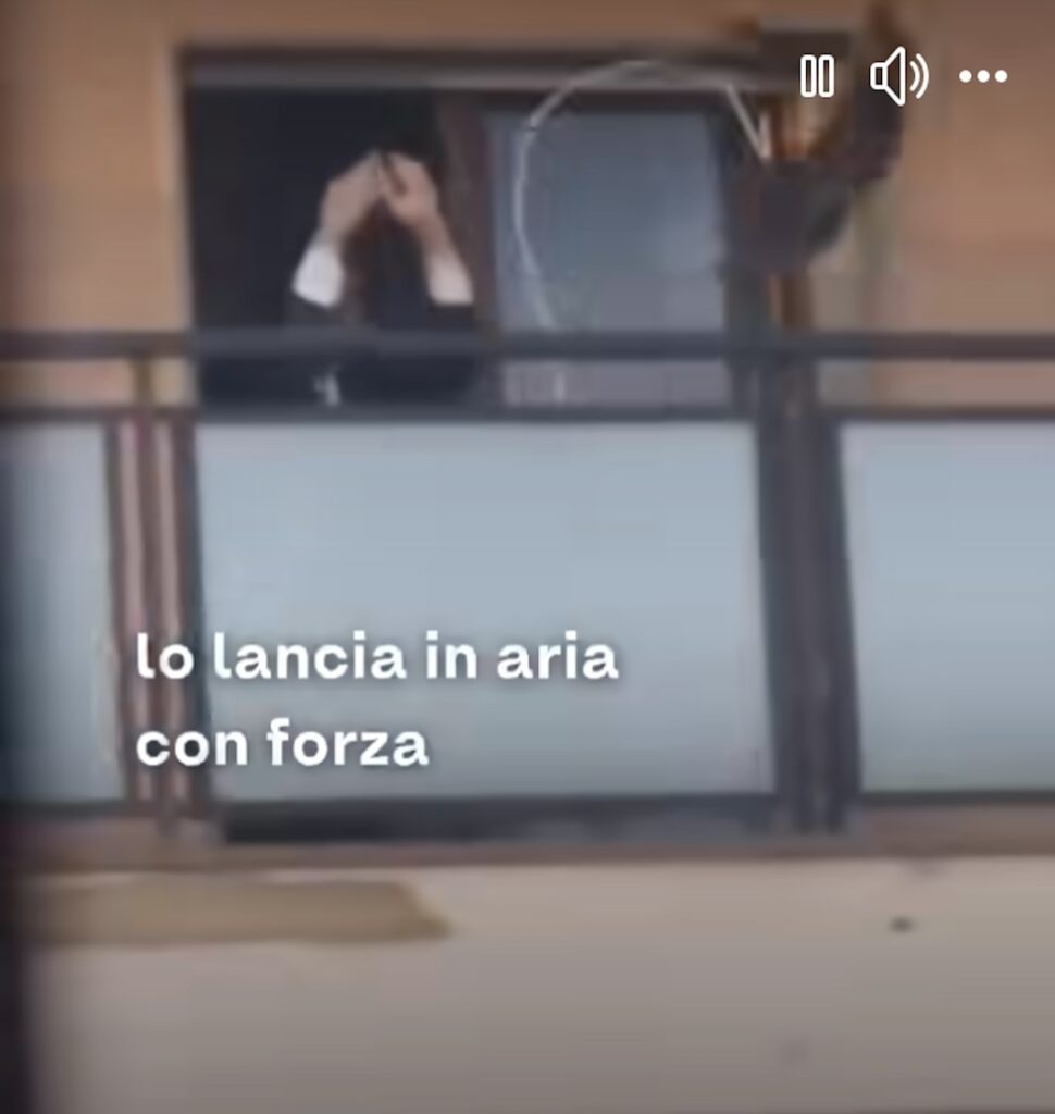 Roma, lancia il gatto dalla finestra ma gli viene restituito 2 Roma, lancia il gatto dalla finestra ma gli viene restituito 2
