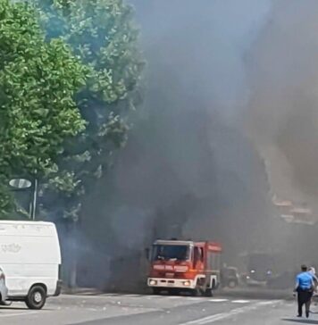 Fiumicino, incendio in un terreno a ridosso dell'abitato: fumo tra le case