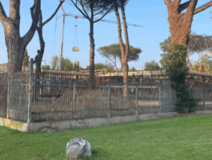 Casal Palocco, ecco come è e quando sarà inaugurata la nuova scuola di via Agatarco (VIDEO) 1 Casal Palocco, ecco come è e quando sarà inaugurata la nuova scuola di via Agatarco (VIDEO) 1