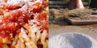 Sagra dei Ciciotti di Falasche, ad Anzio appuntamento dal 3 al 5 luglio 2026: il programma