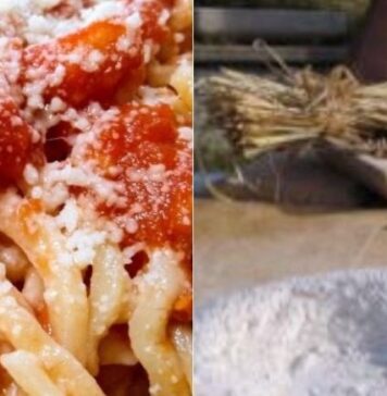 Sagra dei Ciciotti di Falasche, ad Anzio appuntamento dal 3 al 5 luglio 2026: il programma