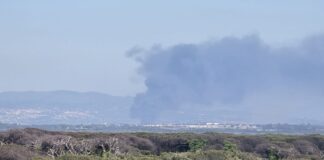 Incendio avvolge capannone a Santa Palomba: allerta sale anche ai Castelli Romani