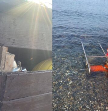 Ostia Ponente, spiagge libere di nuovo nel mirino dei vandali: atti ripetuti e zero telecamere
