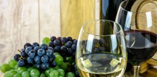 Ostia incontra i 'Vini da Mare': degustazioni e masterclass in piazza