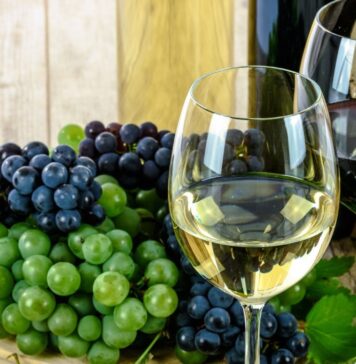 Ostia incontra i 'Vini da Mare': degustazioni e masterclass in piazza