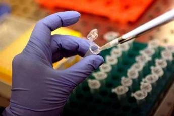 Nobel medicina, Iannacone: “Tante pagine da scrivere, le più belle saranno le terapie”
