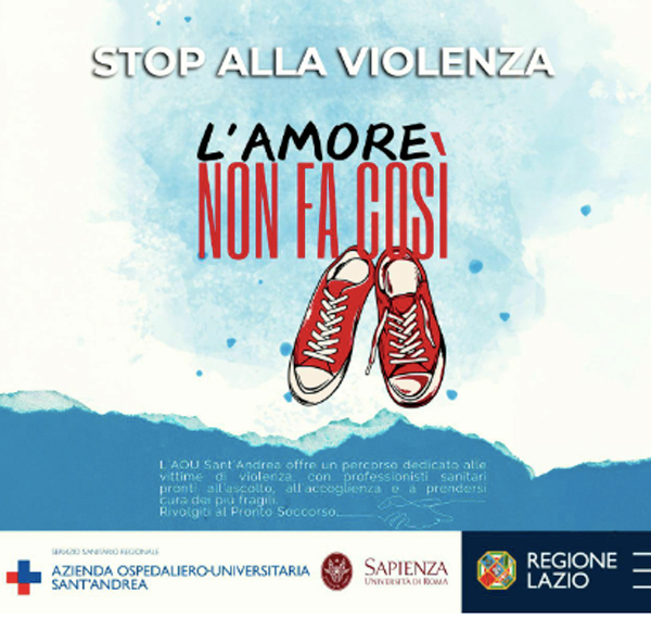 Ospedale Sant'Andrea, i numeri del team anti-violenza : oltre 400 le vittime accolte e assistite 1