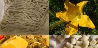 Sagre nel Lazio dall'11 al 13 luglio: tour enogastronomico tra tartufo, gavinella, cinghiali, bistecche e notti del vino