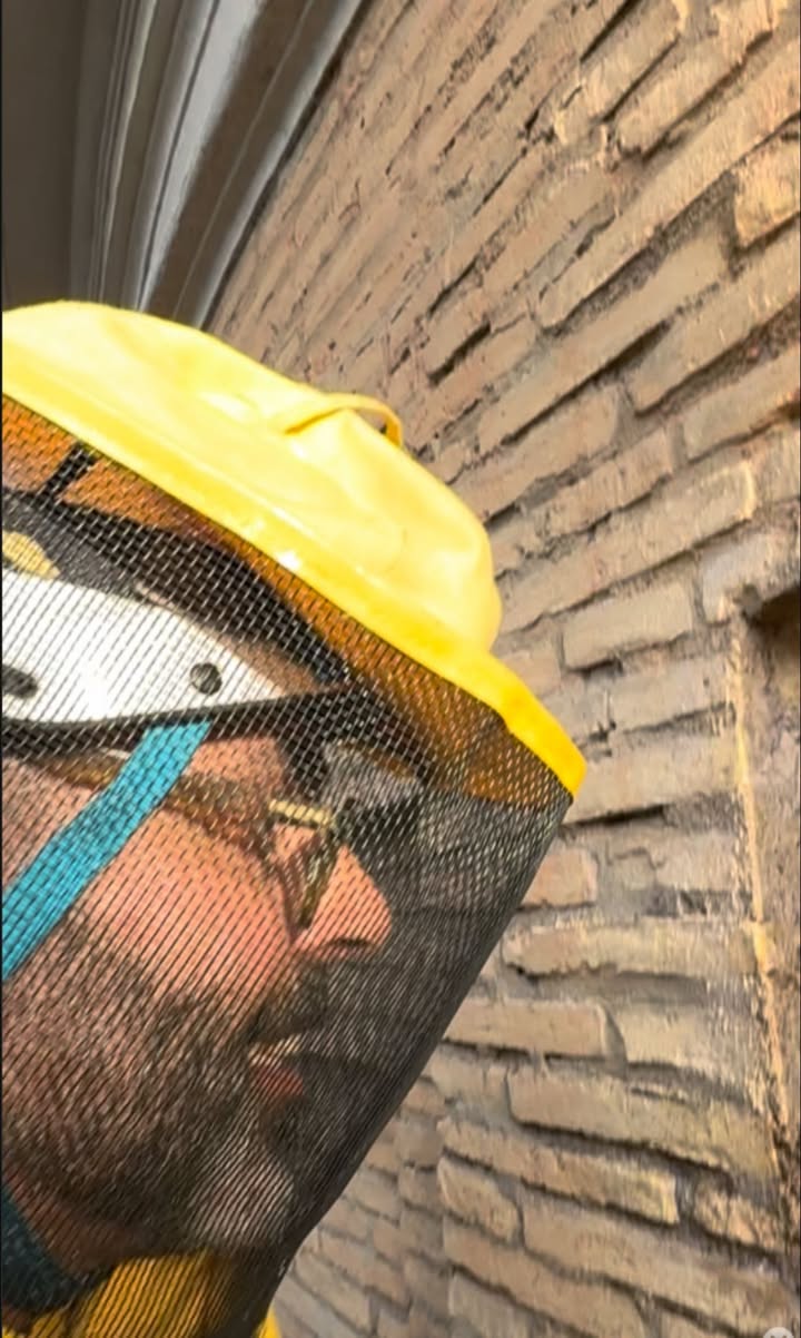 Salvate le api di Sant’Andrea al Quirinale: un piccolo miracolo tra arte barocca e natura 2