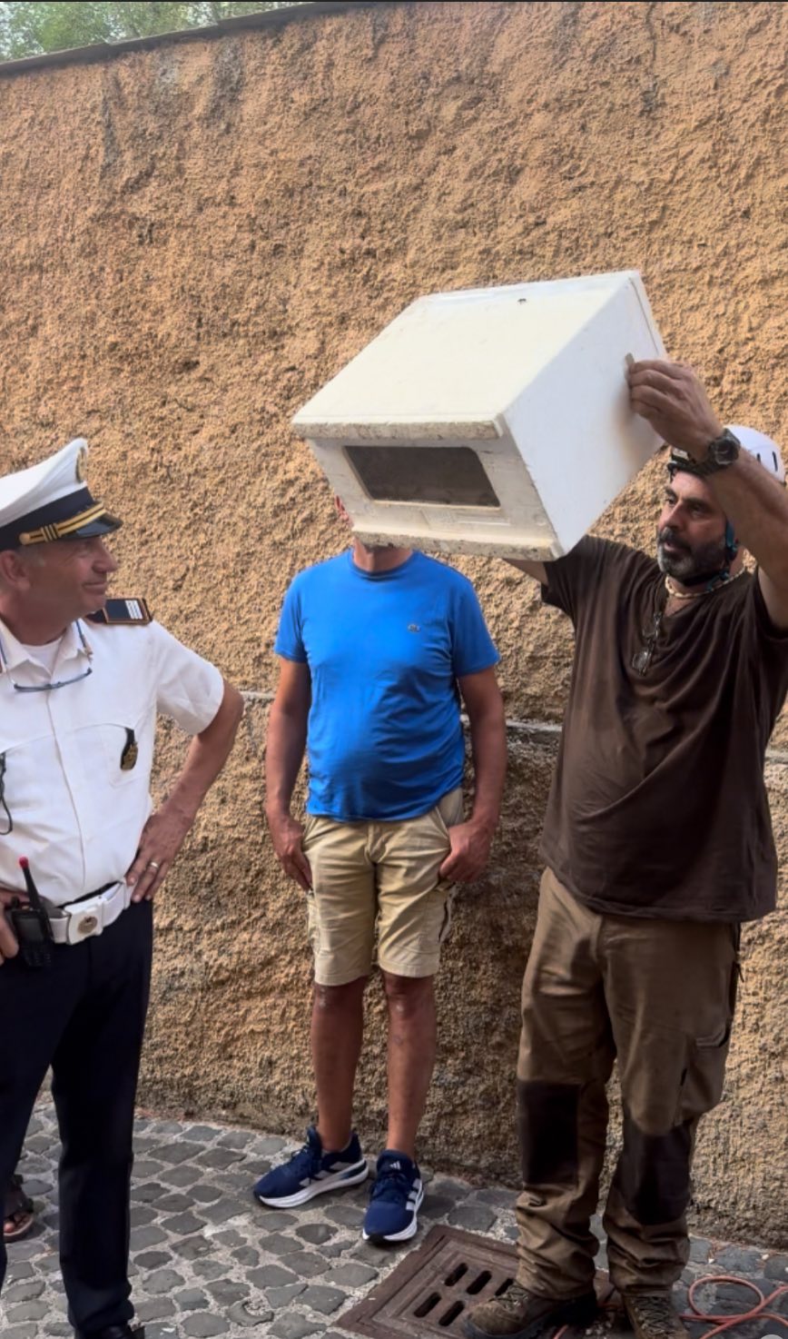 Salvate le api di Sant’Andrea al Quirinale: un piccolo miracolo tra arte barocca e natura 3