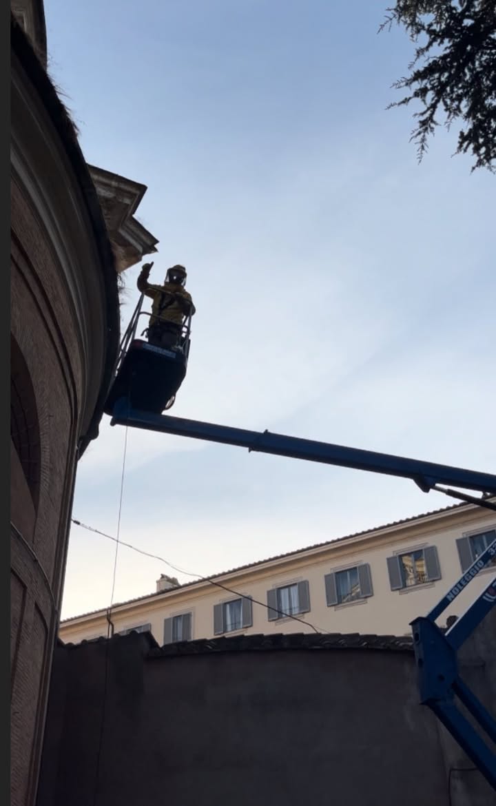 Salvate le api di Sant’Andrea al Quirinale: un piccolo miracolo tra arte barocca e natura 1