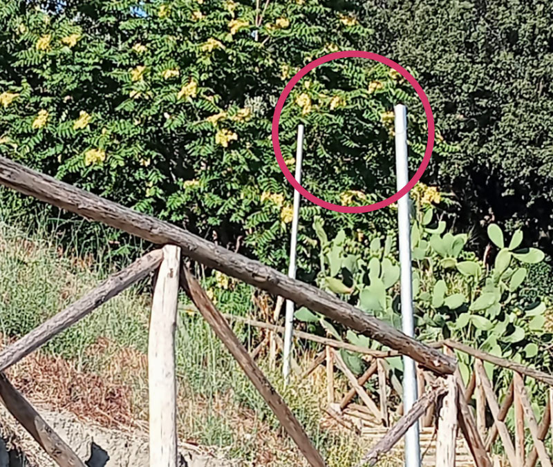 Furti dei lampioni al Trullo e Muratella: nei blitz l'ombra delle bande per mettere fuori uso l'illuminazione pubblica (FOTO) 1