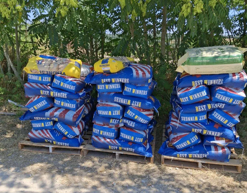 'Sfattoria degli Ultimi', l'Associazione Haru rinuncia alla custodia: "Abbandonati dalle istituzioni" 1 'Sfattoria degli Ultimi', l'Associazione Haru rinuncia alla custodia: "Abbandonati dalle istituzioni" 1