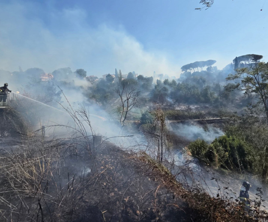 Roma e provincia in fiamme: è emergenza su quattro vasti fronti di fuoco. Evacuata una casa di riposo 1