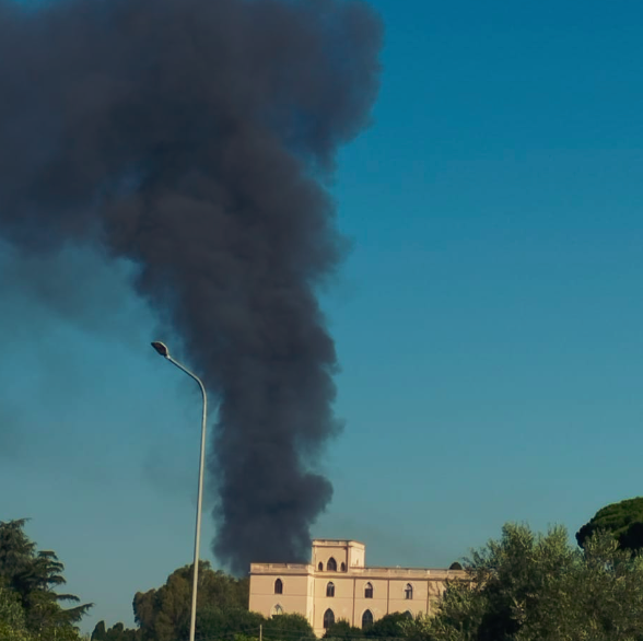 Incendio in un terreno di Grottaferrata: paura per fumo tossico e fiamme a ridosso delle abitazioni (FOTO E VIDEO) 2