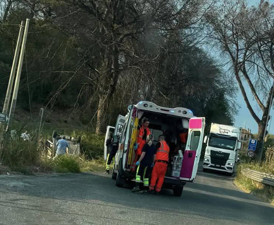 Cane scompare dopo un incidente stradale: l'appello della proprietaria ferita e la catena di solidarietà per Airon 1