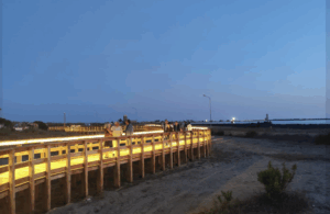Inaugurata la nuova passerella ciclopedonale a Fiumicino: un percorso tra mare e natura (FOTO) 4