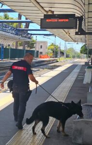 Allarme bomba alla stazione di Acilia: servizio della Metromare sospeso e bus sostitutivi (FOTO) 3 Allarme bomba alla stazione di Acilia: servizio della Metromare sospeso e bus sostitutivi (FOTO) 3