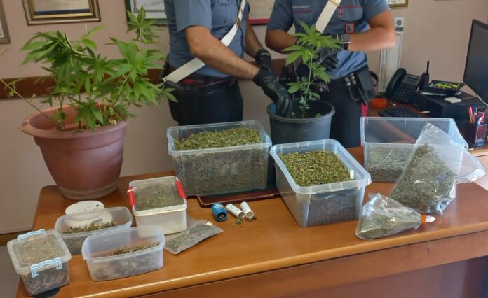 marijuana Palombara Sabina