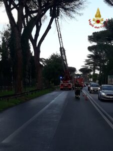 Alberi pericolanti per il vento forte bloccano via Flaminia Nuova: corsia chiusa e code 1