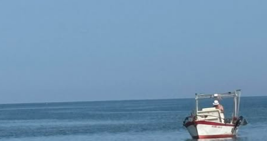 a fregene pesca delle telline copertina
