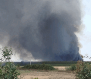 Vasto incendio oscura il sole sul litorale romano (FOTO e VIDEO) 8