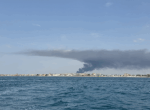 Vasto incendio oscura il sole sul litorale romano (FOTO e VIDEO) 2