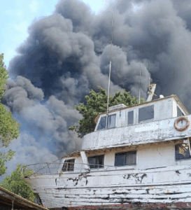 Vasto incendio oscura il sole sul litorale romano (FOTO e VIDEO) 1