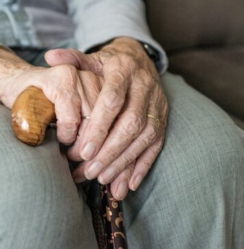 Truffe agli anziani: "Mi manda l'amministratrice". Poi scatta il furto a casa di una ultraottantenne