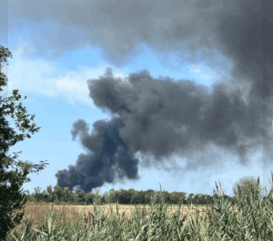 Vasto incendio oscura il sole sul litorale romano (FOTO e VIDEO) 3