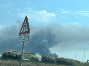 Vasto incendio oscura il sole sul litorale romano (FOTO e VIDEO) 7
