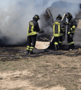 Fiamme alla legnaia di un capanno di Tolfa, minacciate le abitazioni e gli allevamenti vicini 1