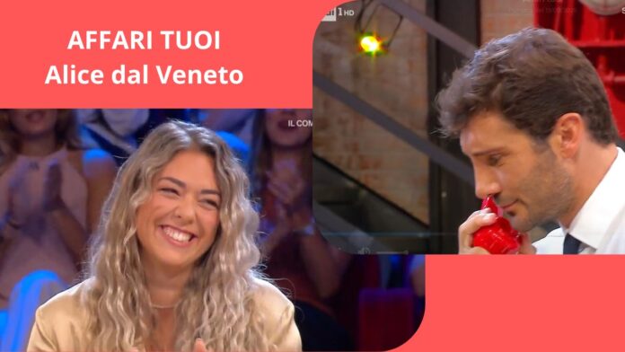 Affari Tuoi, la sfortunata partita di Alice dal Veneto: 4 figli e vincita zero, Stefano la consola