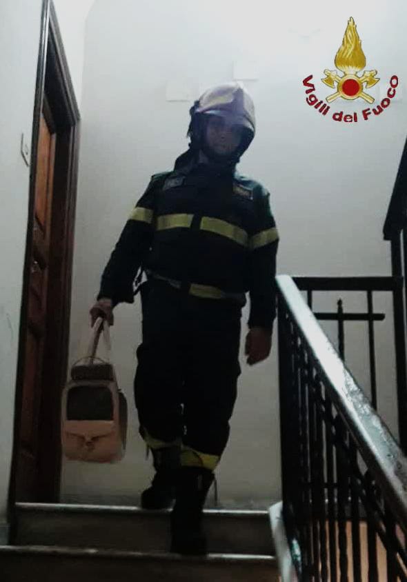 Notte di paura al Pigneto: appartamento in fiamme, salvi un gatto e una tartaruga 1 Notte di paura al Pigneto: appartamento in fiamme, salvi un gatto e una tartaruga 1