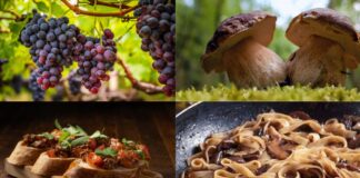 Sagre nel Lazio dal 26 al 28 settembre 2025: in tavola piatti della tradizione, strigliozzi, polenta, funghi porcini, uva