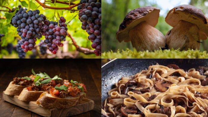 Sagre nel Lazio dal 26 al 28 settembre 2025: in tavola piatti della tradizione, strigliozzi, polenta, funghi porcini, uva