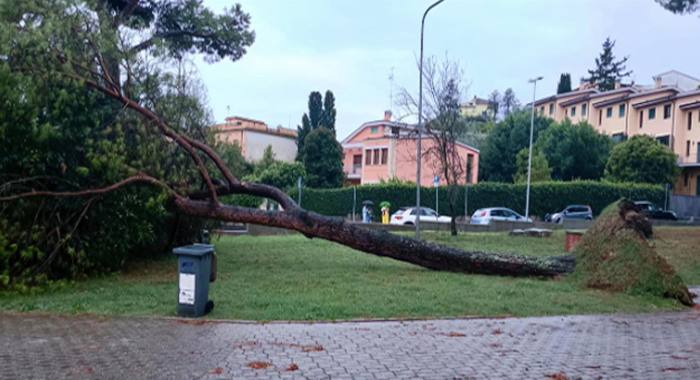 Notte di tempesta tra Roma e provincia: tutte le strade chiuse per frane e alberi caduti (FOTO) 1 Notte di tempesta tra Roma e provincia: tutte le strade chiuse per frane e alberi caduti (FOTO) 1