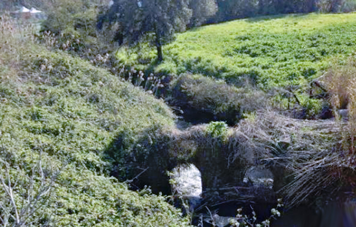 Osteria Nuova, ponte e fontanile del '700 a rischio demolizione. Residenti: "Minacciata storia e identità del territorio" 2