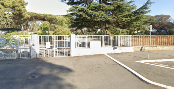 scuola stella del mare